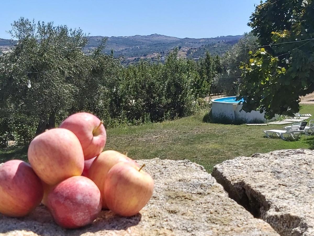 Вилла Casa Do Feitor - Douro - Quinta Da Cabrida Sendim  Экстерьер фото