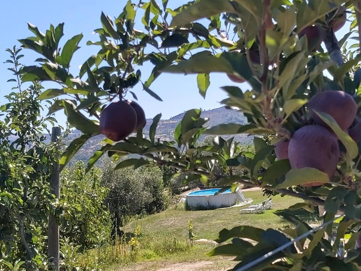 Вилла Casa Do Feitor - Douro - Quinta Da Cabrida Sendim  Экстерьер фото