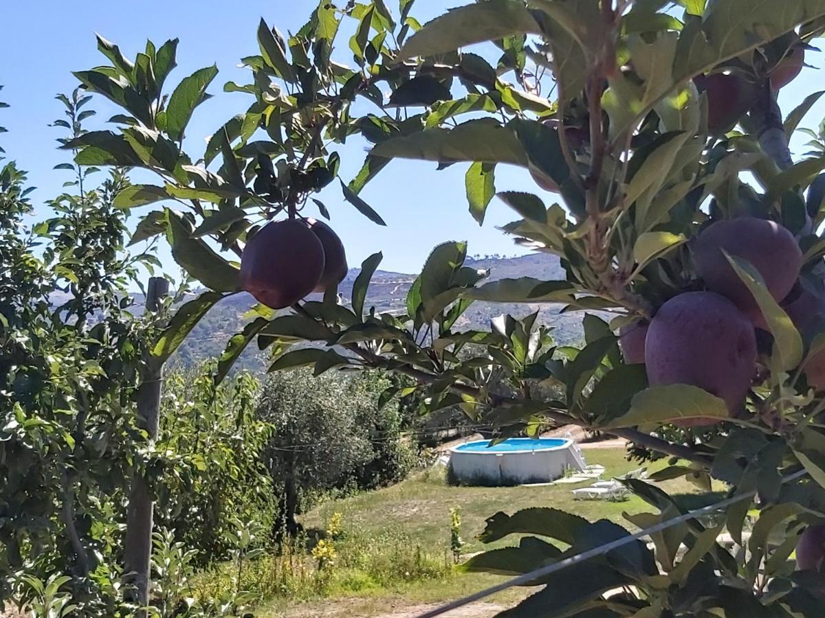 Вилла Casa Do Feitor - Douro - Quinta Da Cabrida Sendim  Экстерьер фото