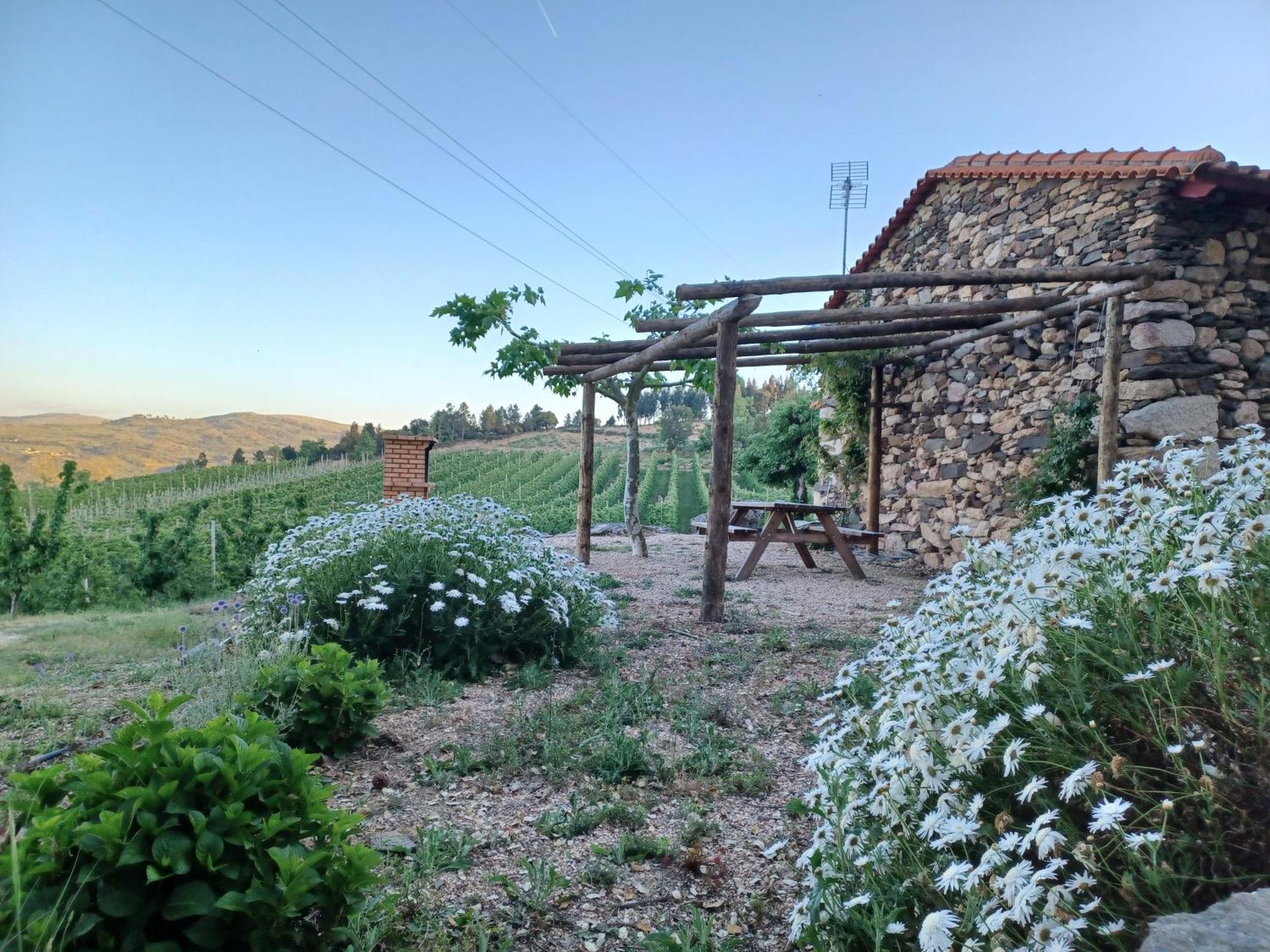 Вилла Casa Do Feitor - Douro - Quinta Da Cabrida Sendim  Экстерьер фото
