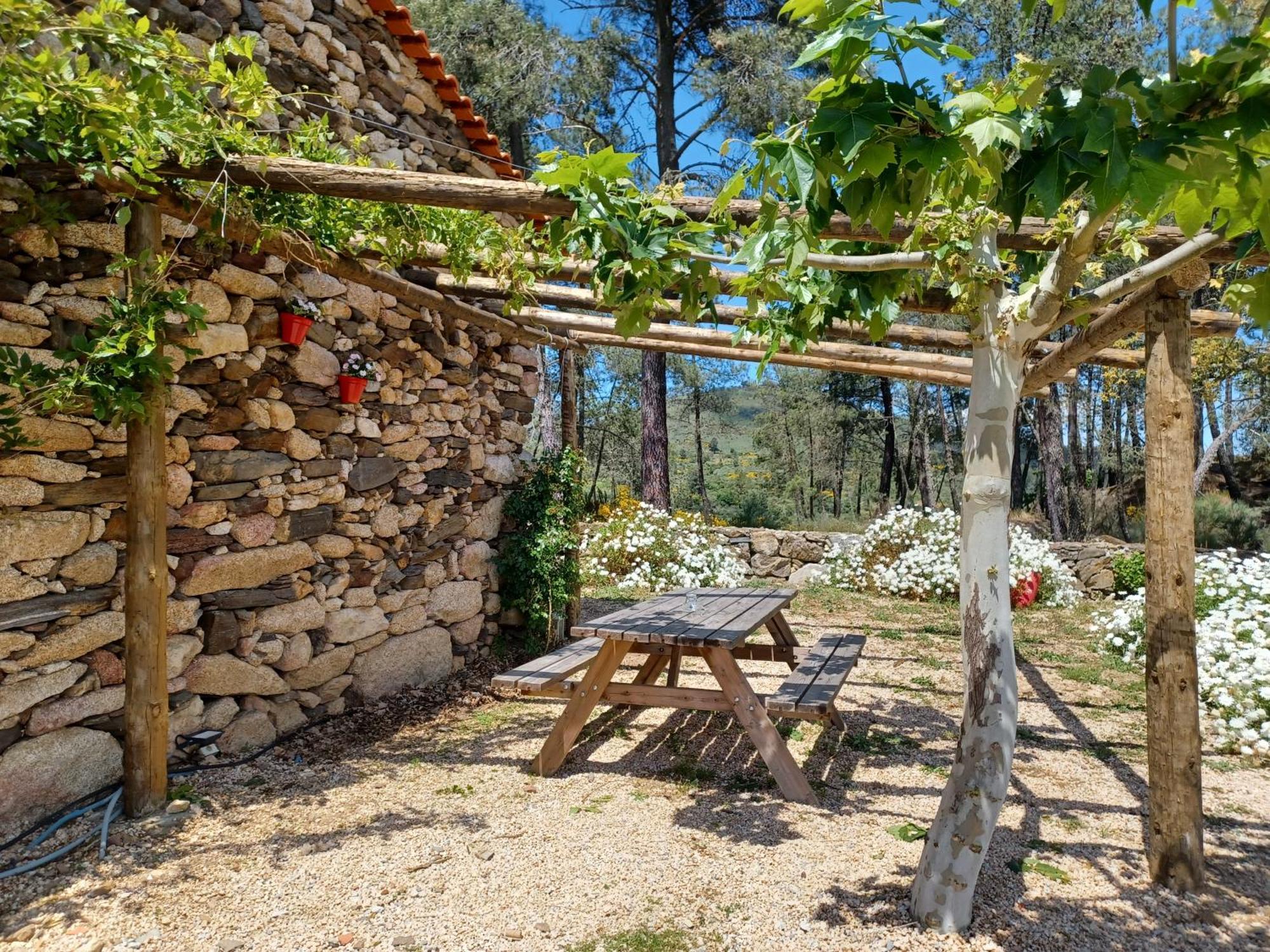 Вилла Casa Do Feitor - Douro - Quinta Da Cabrida Sendim  Экстерьер фото