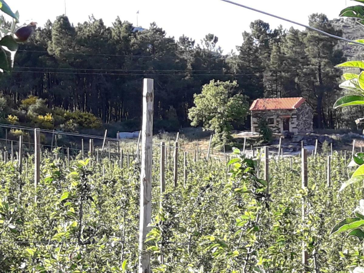Вилла Casa Do Feitor - Douro - Quinta Da Cabrida Sendim  Экстерьер фото