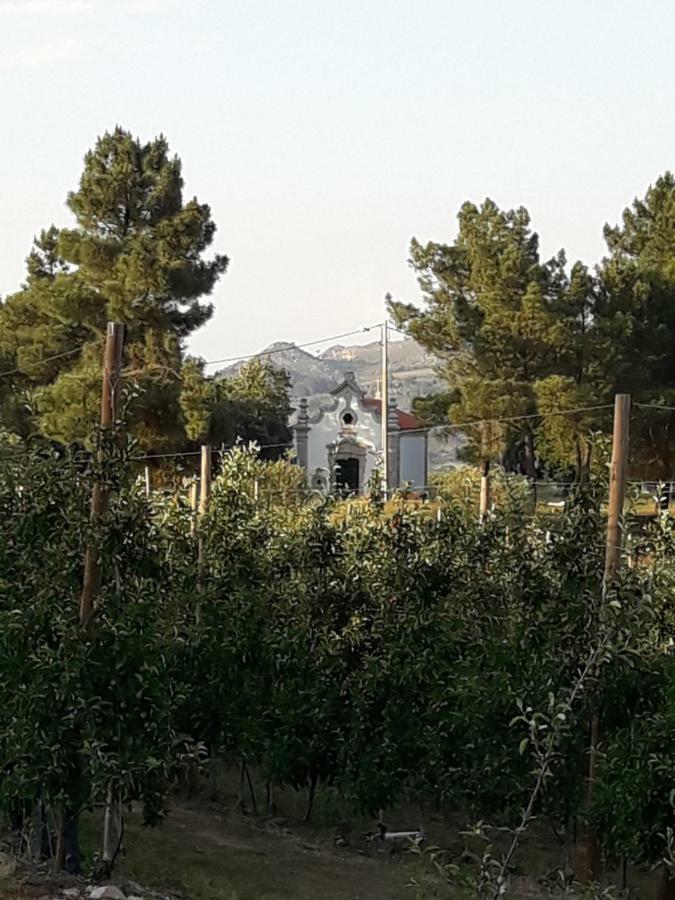 Вилла Casa Do Feitor - Douro - Quinta Da Cabrida Sendim  Экстерьер фото