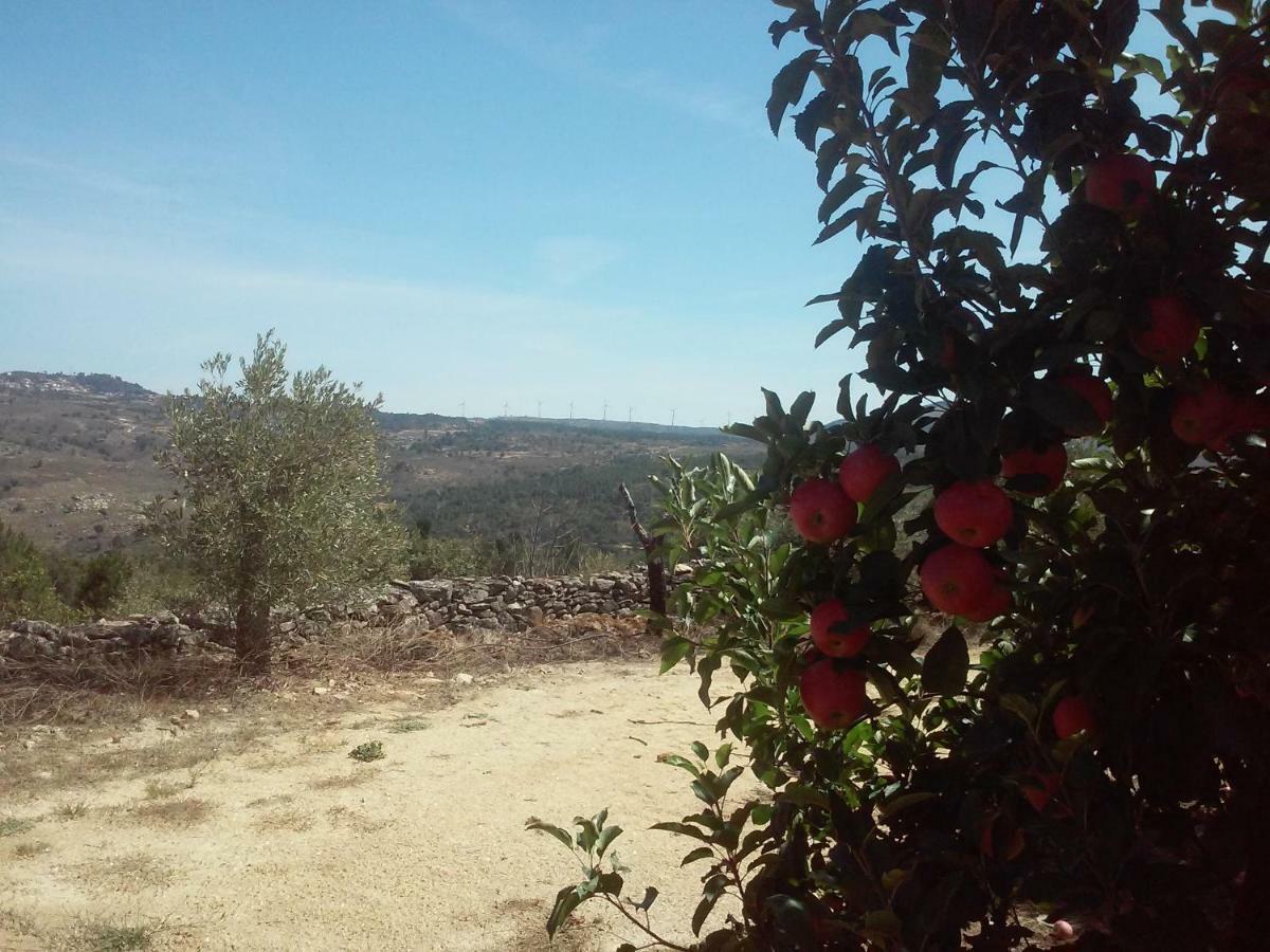 Вилла Casa Do Feitor - Douro - Quinta Da Cabrida Sendim  Экстерьер фото