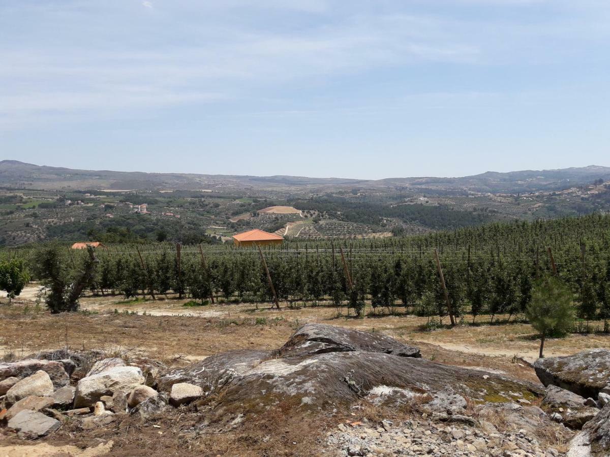 Вилла Casa Do Feitor - Douro - Quinta Da Cabrida Sendim  Экстерьер фото
