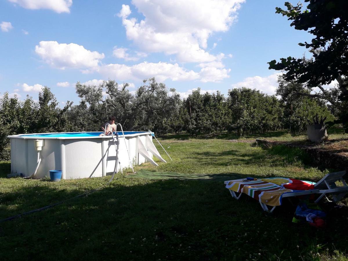 Вилла Casa Do Feitor - Douro - Quinta Da Cabrida Sendim  Экстерьер фото