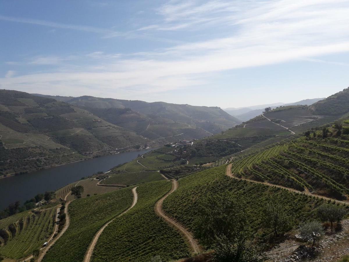 Вилла Casa Do Feitor - Douro - Quinta Da Cabrida Sendim  Экстерьер фото