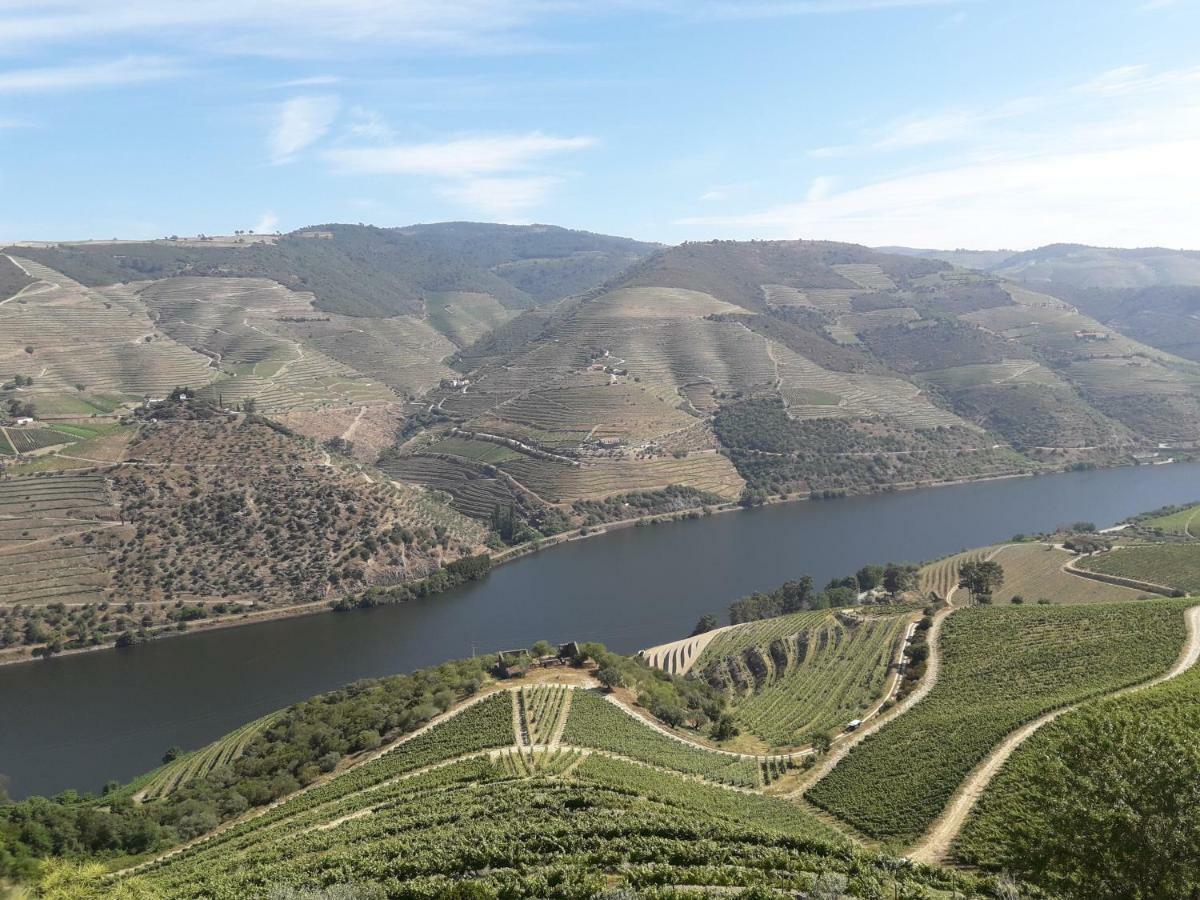 Вилла Casa Do Feitor - Douro - Quinta Da Cabrida Sendim  Экстерьер фото