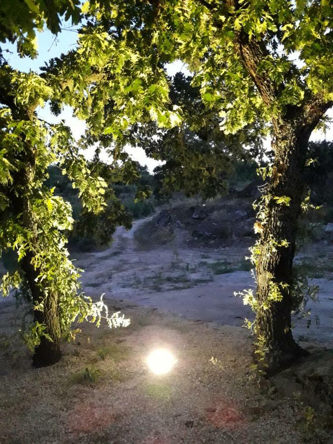 Вилла Casa Do Feitor - Douro - Quinta Da Cabrida Sendim  Экстерьер фото