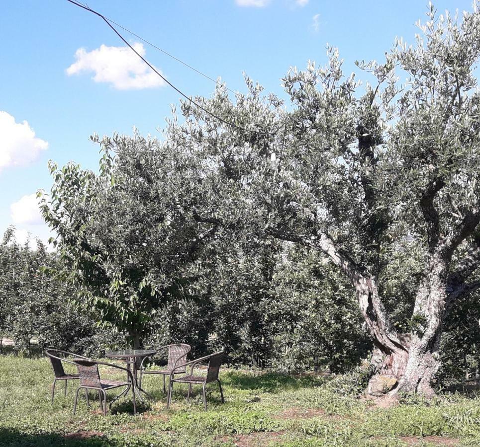 Вилла Casa Do Feitor - Douro - Quinta Da Cabrida Sendim  Экстерьер фото