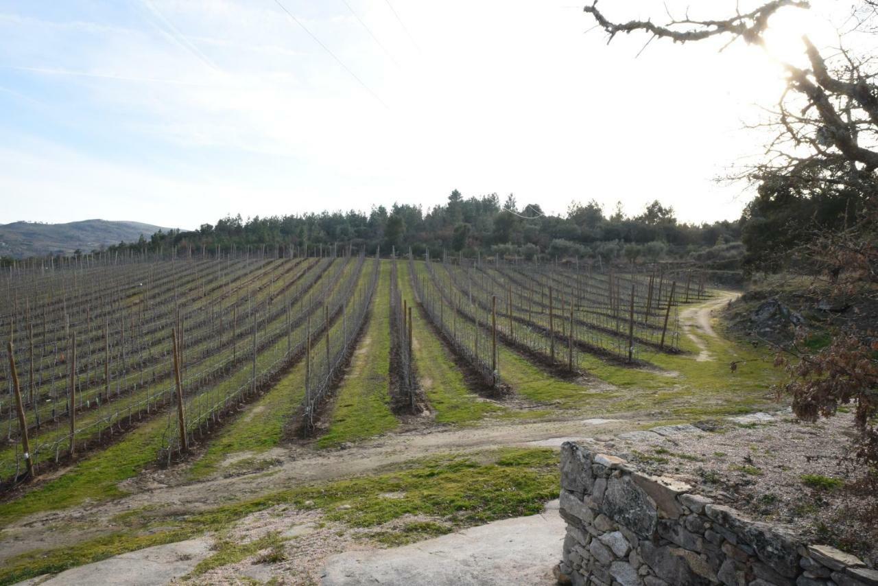 Вилла Casa Do Feitor - Douro - Quinta Da Cabrida Sendim  Экстерьер фото